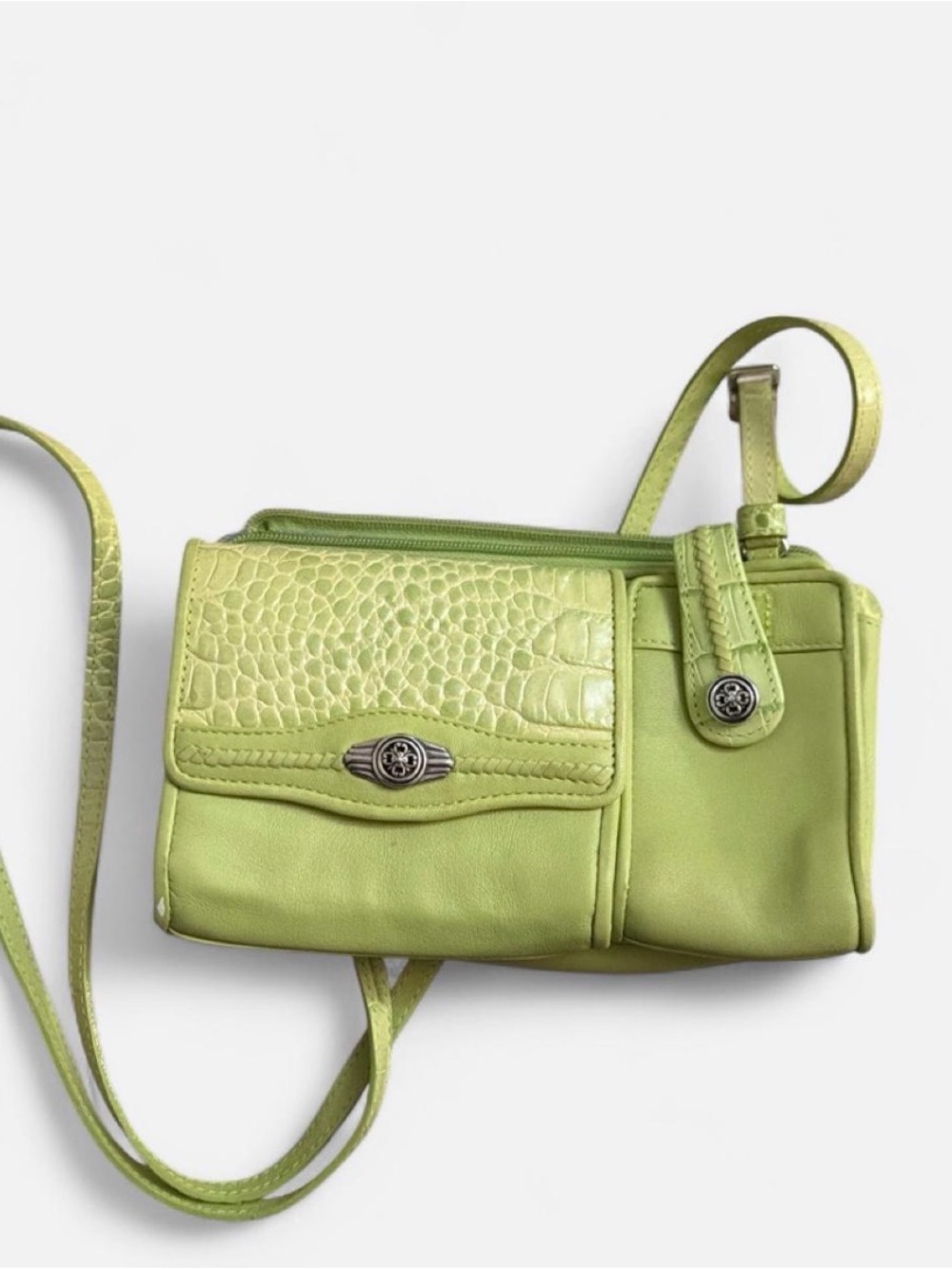Brighton Alligator Leather Bag